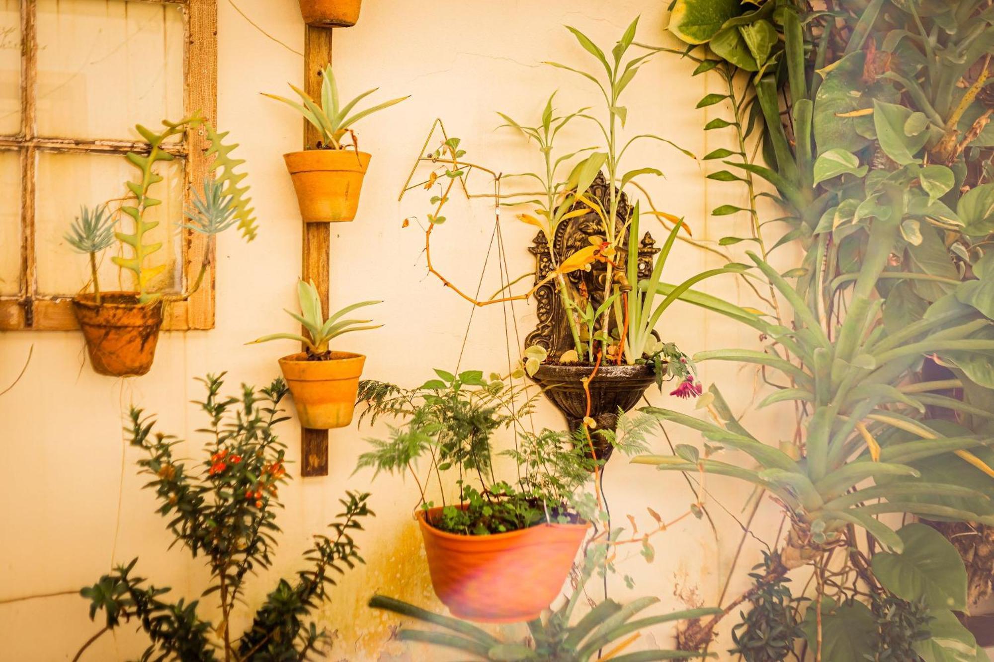 Suites Em Jabaquara, 帕拉蒂 外观 照片